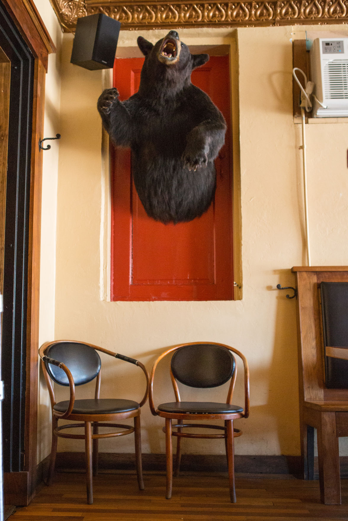 Forequarter